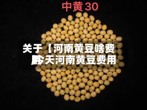 关于【河南黄豆啥费用,今天河南黄豆费用】