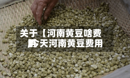 关于【河南黄豆啥费用
,今天河南黄豆费用
】-第2张图片