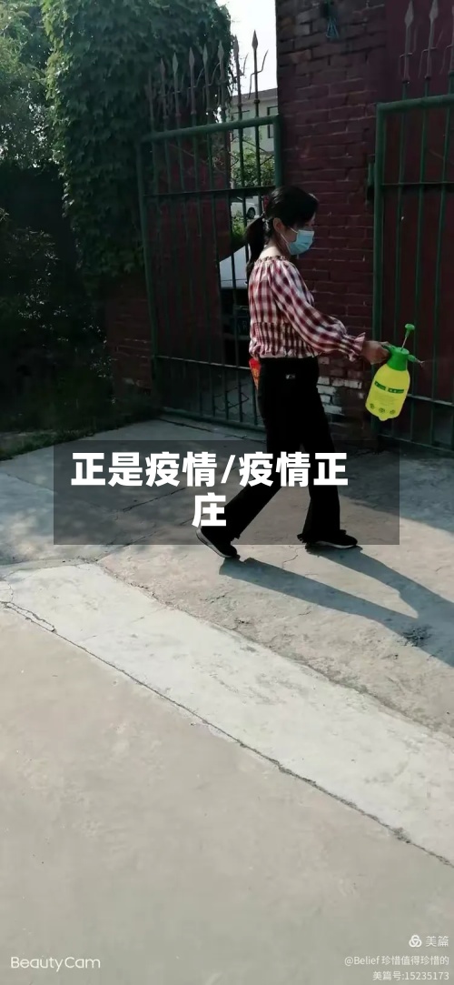 正是疫情/疫情正庄-第3张图片