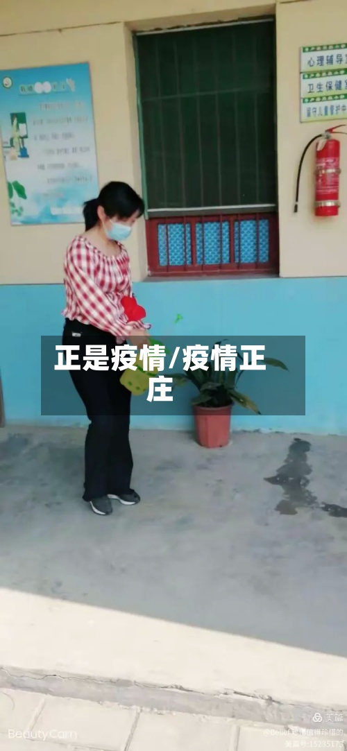 正是疫情/疫情正庄-第2张图片