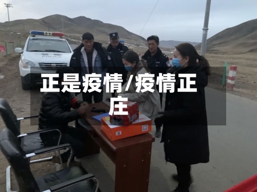 正是疫情/疫情正庄