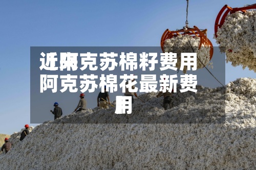 近来
【阿克苏棉籽费用
阿克苏棉花最新费用
】