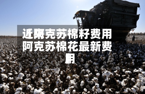 近来
【阿克苏棉籽费用
阿克苏棉花最新费用
】-第2张图片