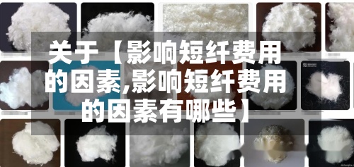 关于【影响短纤费用
的因素,影响短纤费用
的因素有哪些】