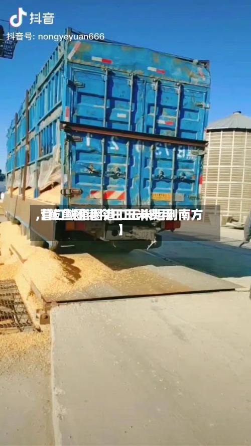 【鲅鱼圈港今日玉米费用
,营口鲅鱼圈港口玉米运到南方】