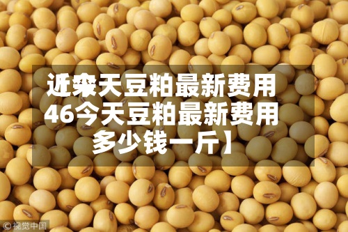 近来【今天豆粕最新费用46今天豆粕最新费用多少钱一斤】