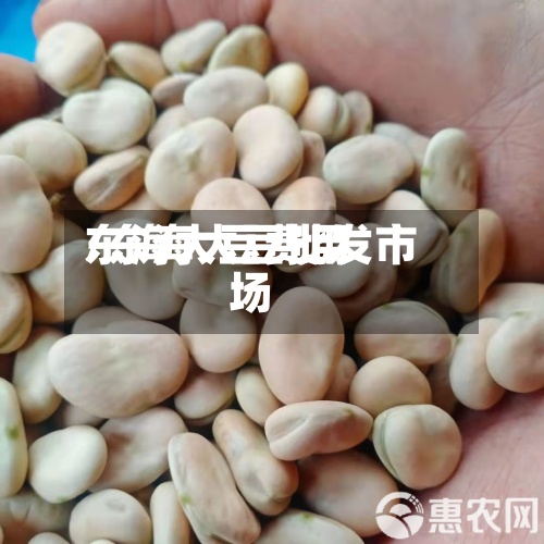 东海大豆费用
/东海大豆批发市场-第2张图片