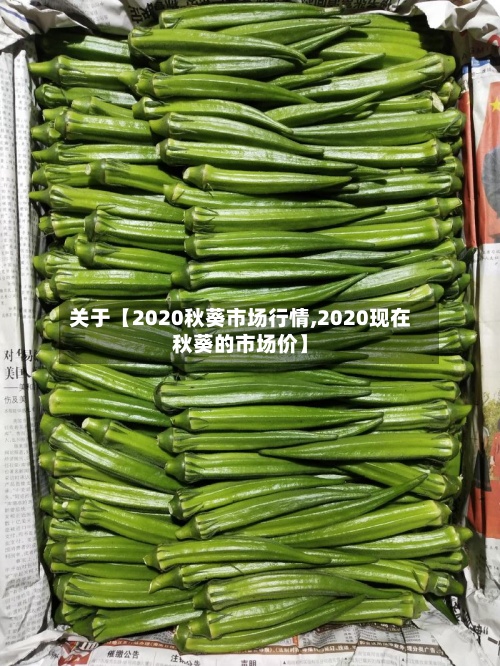 关于【2020秋葵市场行情,2020现在秋葵的市场价】