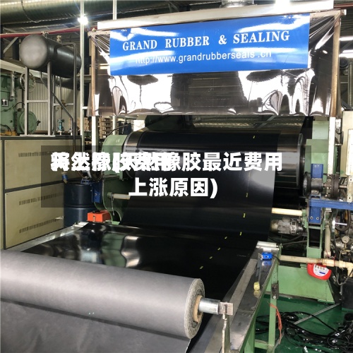 天然橡胶费用
将上涨(天然橡胶最近费用
上涨原因)-第2张图片