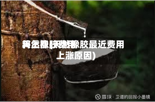 天然橡胶费用将上涨(天然橡胶最近费用上涨原因)