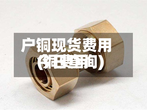 户铜现货费用
(铜费用
今日查询)