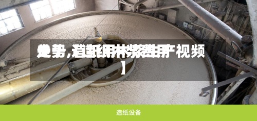 关于【造纸木浆费用
走势,造纸用木浆生产视频】