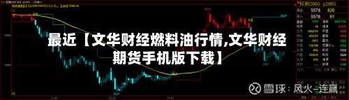 最近【文华财经燃料油行情,文华财经期货手机版下载】-第2张图片
