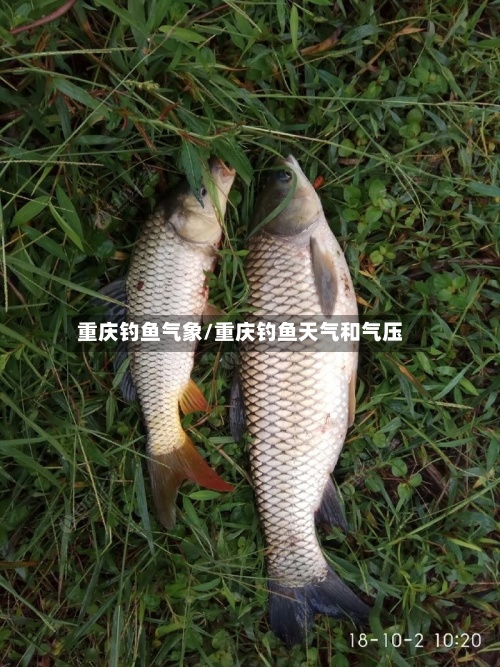 重庆钓鱼气象/重庆钓鱼天气和气压