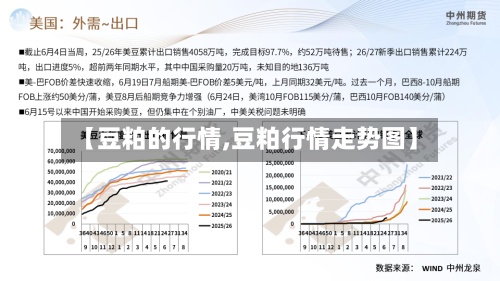 【豆粕的行情,豆粕行情走势图】