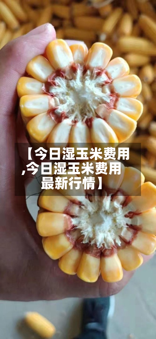 【今日湿玉米费用
,今日湿玉米费用
最新行情】