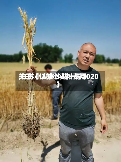 关于【江苏小麦粉费用
,江苏小麦多少钱一斤2020】
