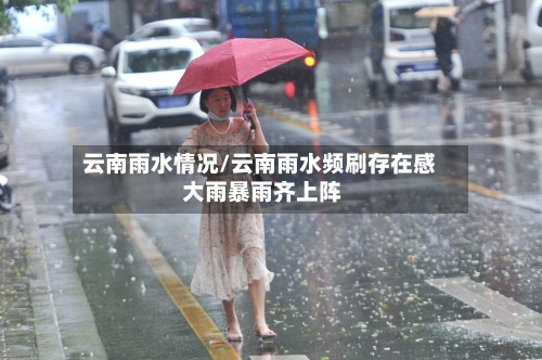 云南雨水情况/云南雨水频刷存在感 大雨暴雨齐上阵-第2张图片