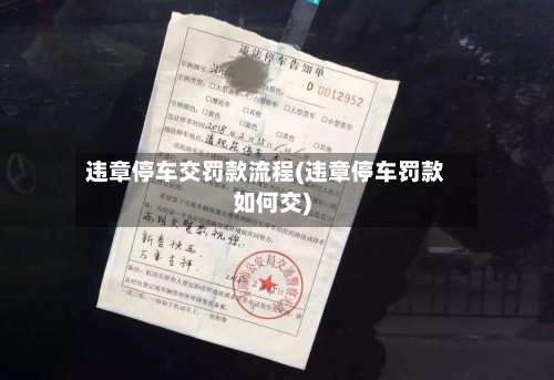 违章停车交罚款流程(违章停车罚款如何交)-第2张图片
