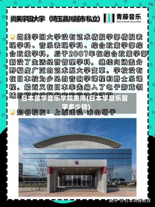 日本留学音乐学院费用(日本学音乐留学多少钱)-第3张图片