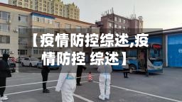 【疫情防控综述,疫情防控 综述】-第2张图片
