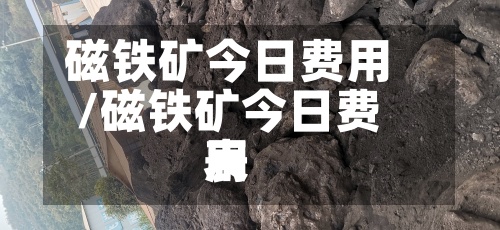 磁铁矿今日费用/磁铁矿今日费用表-第2张图片