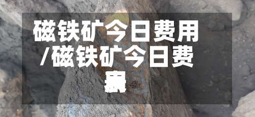 磁铁矿今日费用/磁铁矿今日费用表