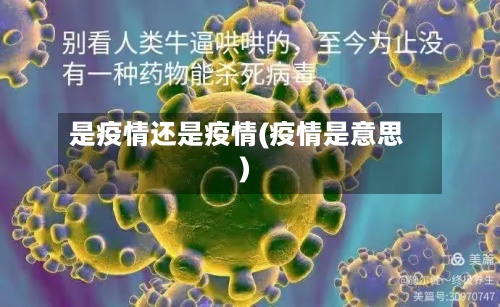 是疫情还是疫情(疫情是意思)