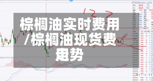 棕榈油实时费用
/棕榈油现货费用
走势