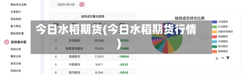 今日水稻期货(今日水稻期货行情)