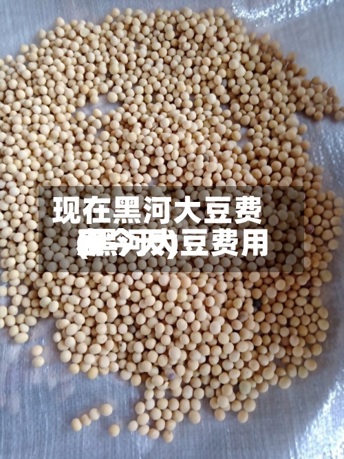 现在黑河大豆费用
(黑河大豆费用
表今天)