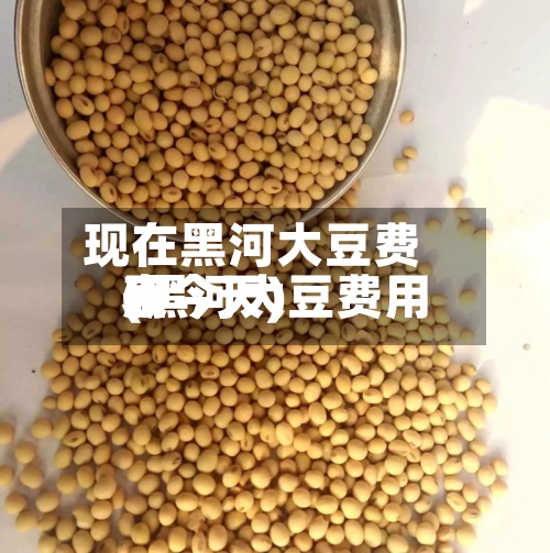 现在黑河大豆费用
(黑河大豆费用
表今天)-第2张图片