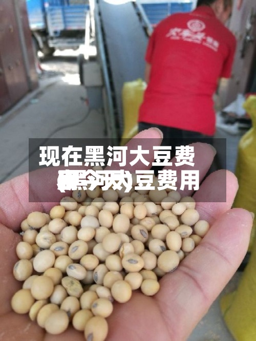 现在黑河大豆费用
(黑河大豆费用
表今天)-第3张图片