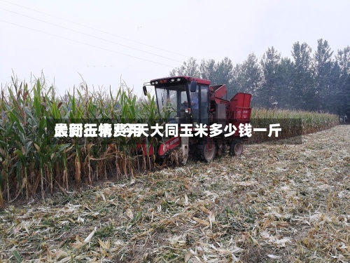 大同玉米费用
最新行情/今天大同玉米多少钱一斤-第3张图片