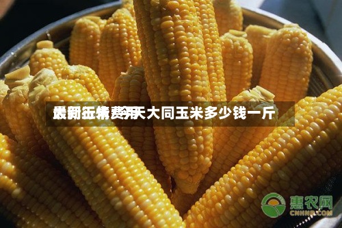 大同玉米费用
最新行情/今天大同玉米多少钱一斤