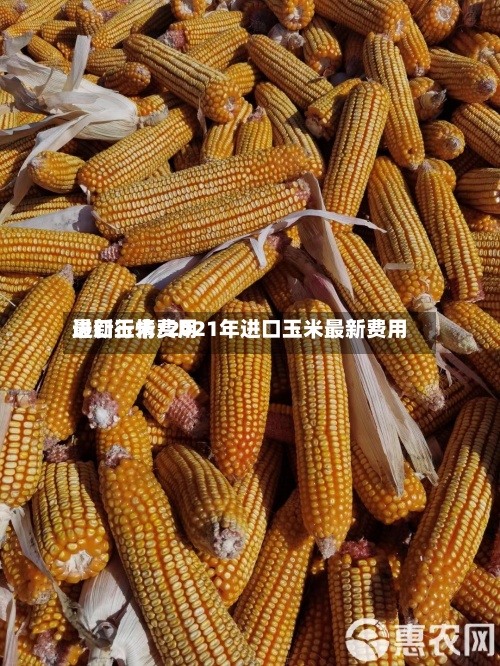 进口玉米费用
最新行情/2021年进口玉米最新费用
-第3张图片