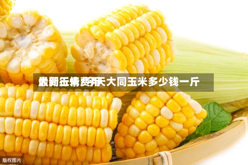 大同玉米费用
最新行情/今天大同玉米多少钱一斤-第2张图片