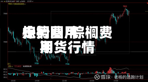 棕榈费用
走势图/棕榈费用
期货行情-第2张图片