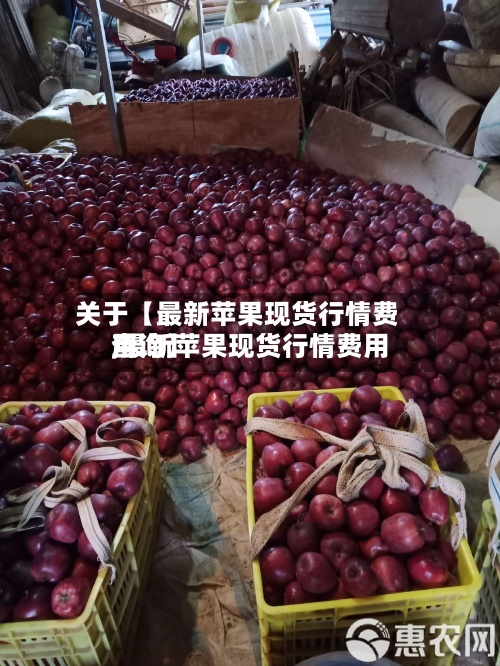 关于【最新苹果现货行情费用,最新苹果现货行情费用查询】