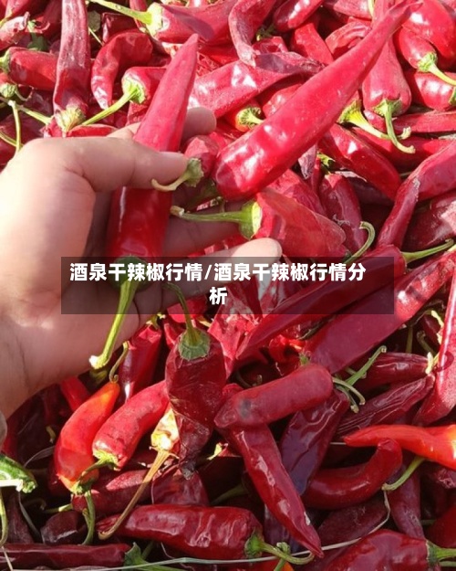 酒泉干辣椒行情/酒泉干辣椒行情分析