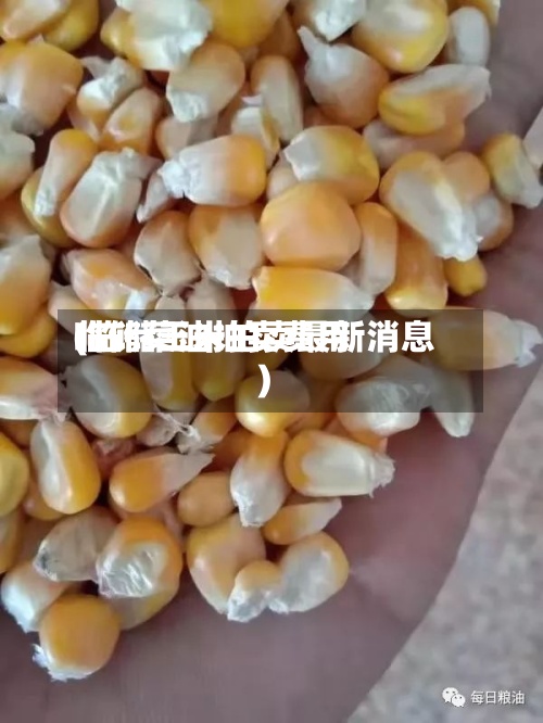 临储菜油拍卖费用(临储玉米拍卖最新消息)