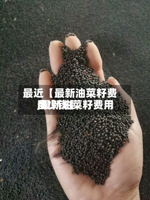 最近【最新油菜籽费用,最新油菜籽费用多少钱】