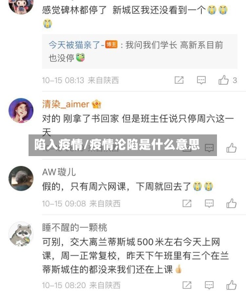 陷入疫情/疫情沦陷是什么意思
