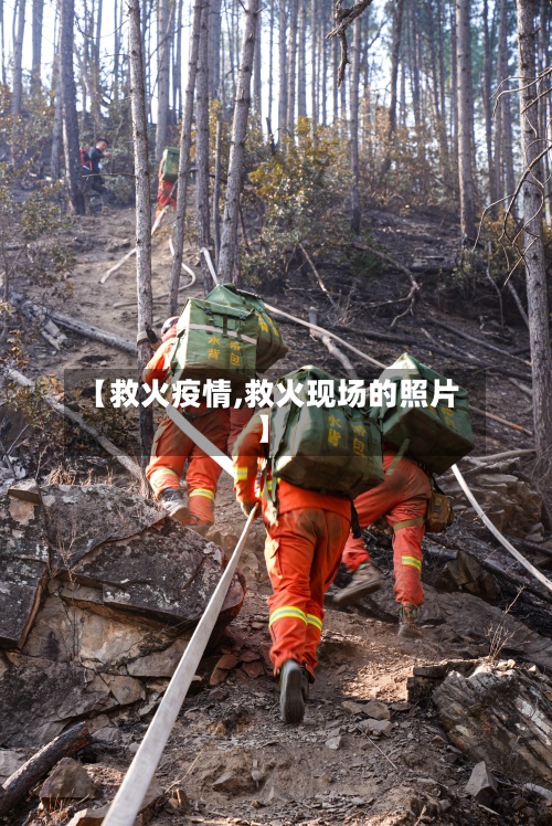 【救火疫情,救火现场的照片】