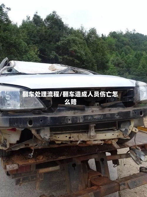 翻车处理流程/翻车造成人员伤亡怎么赔-第2张图片