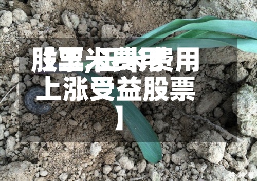 【玉米费用
股票,玉米费用
上涨受益股票】-第2张图片