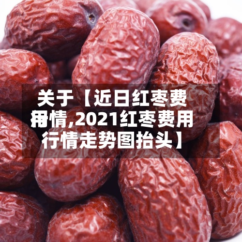 关于【近日红枣费用
行情,2021红枣费用
行情走势图抬头】-第3张图片