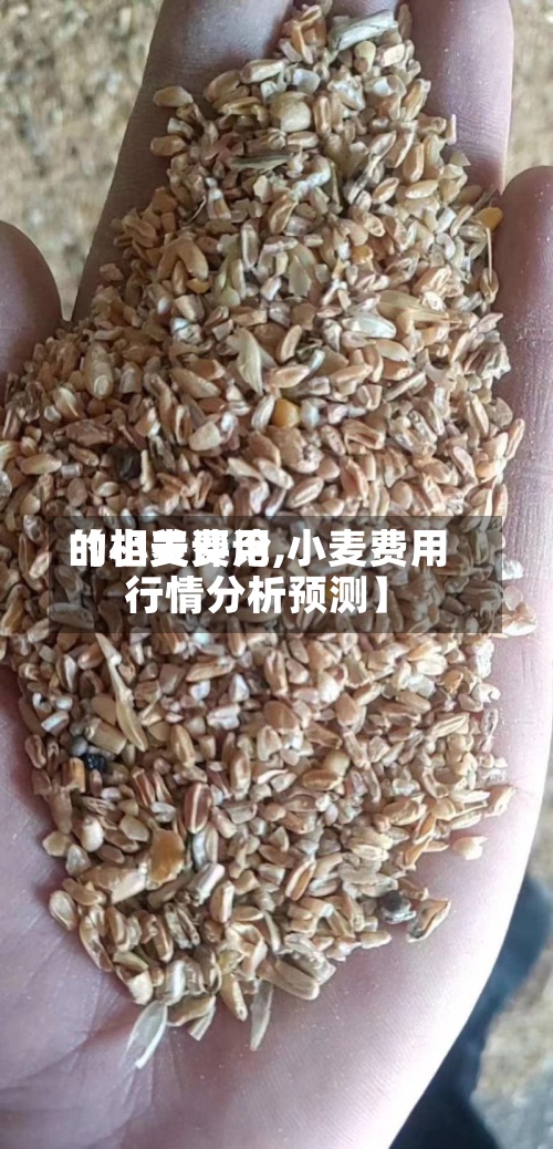 【小麦费用
的相关评论,小麦费用
行情分析预测】-第2张图片