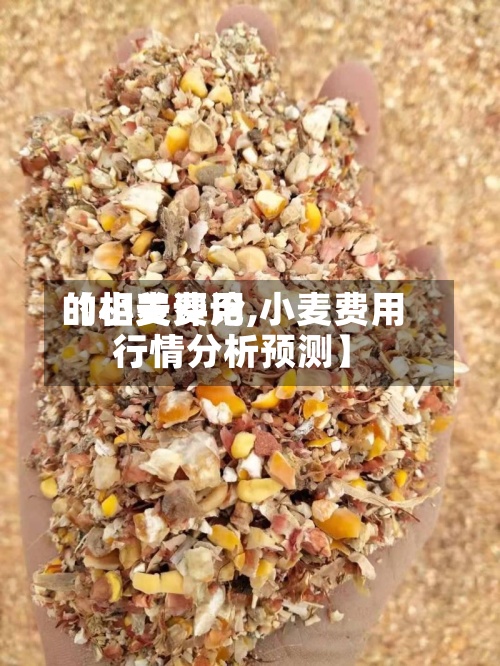 【小麦费用
的相关评论,小麦费用
行情分析预测】-第3张图片