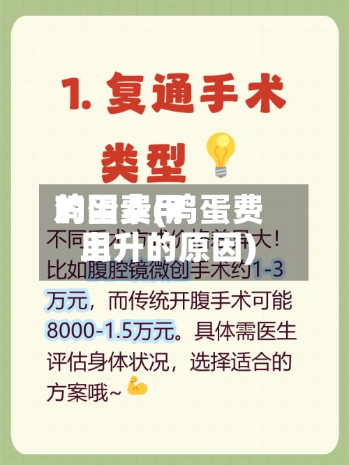 鸡蛋费用
的因素(鸡蛋费用
上升的原因)
